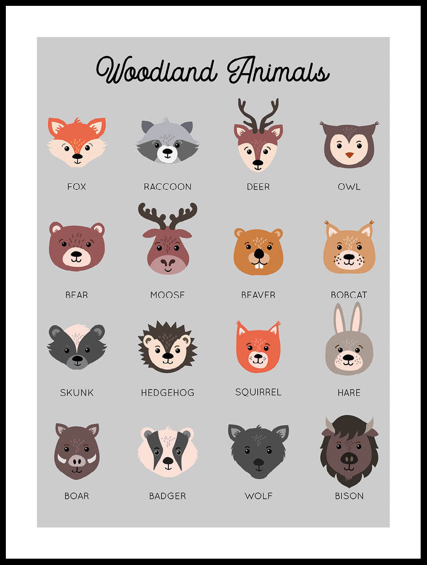 Woodland Animals Poster - Posterton