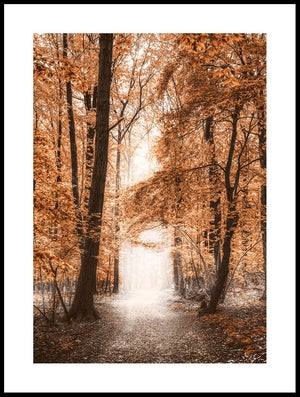 Poster - Nature - Automne - Montagnes - Arbres - Poster mural - Poster  photo - Posters